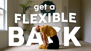 Back Flexibility Stretch Routine for Dancers Follow Along [upl. by Emogene]