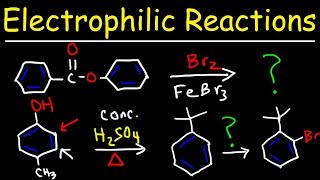 Electrophilic Aromatic Substitution Reactions Made Easy [upl. by Ettenad]