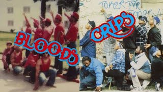 Bloods amp Crips History and Origins [upl. by Hgielanna]