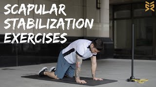 11 Scapular Stabilization Exercises [upl. by Siari]