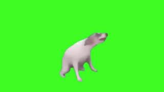 Dog Dance Meme [upl. by Salsbury]