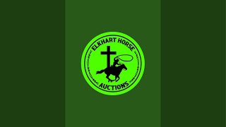 Elkhart Horse Auctions is live [upl. by Anidan]