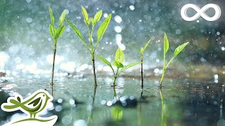 Relaxing Piano Music amp Soft Rain Sounds • Background Sleep Music  Raindrops Extended [upl. by Bertina]