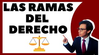 ¿Cuáles son las ramas del derecho [upl. by Notyalk999]